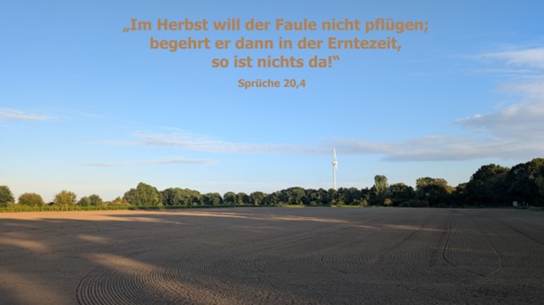 Herbst 26a