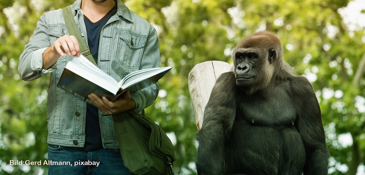 Lernender Affe 2209 Fotor