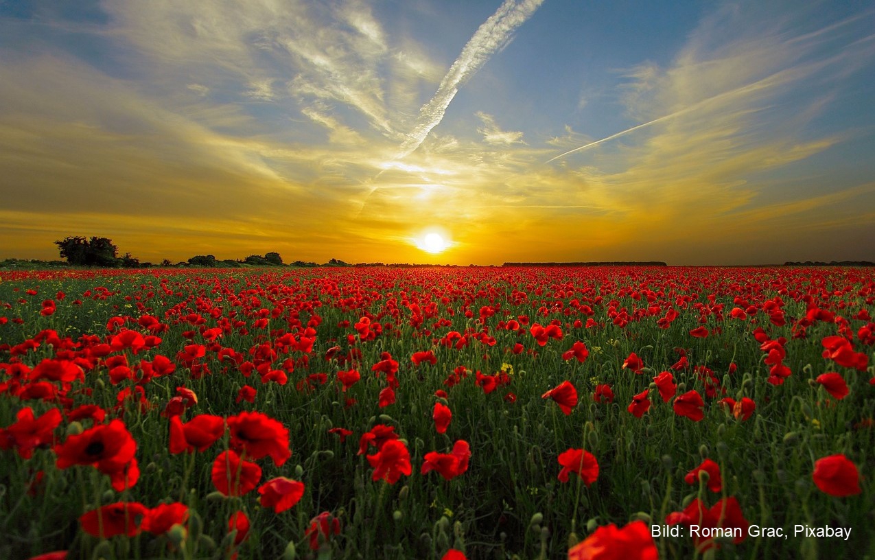 Sonnenuntergang Pix 2301 Fotor