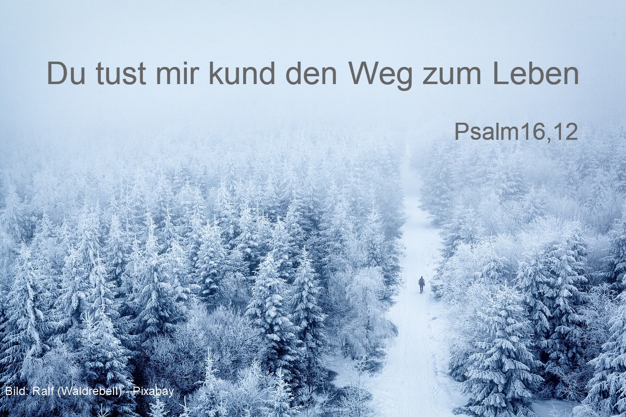 Wege im Nebel 25 Fotor